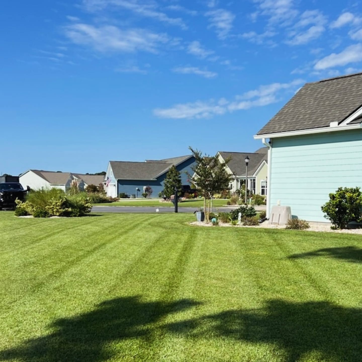 Freshly mowed lawn with clean mowing stripes