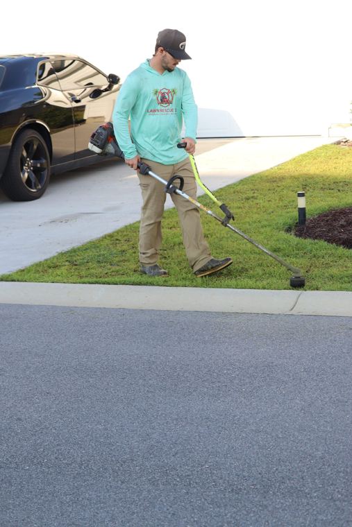 Defined driveway line