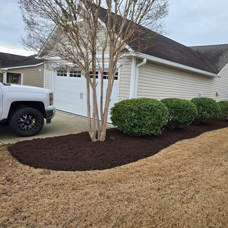 Fresh mulch bed