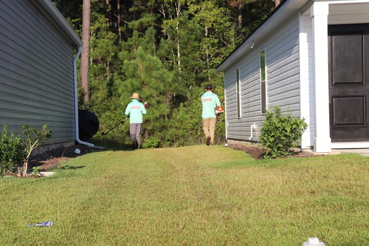 Edging a side yard