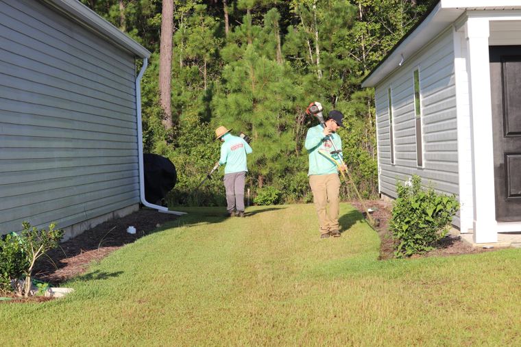 String trimming a side yard