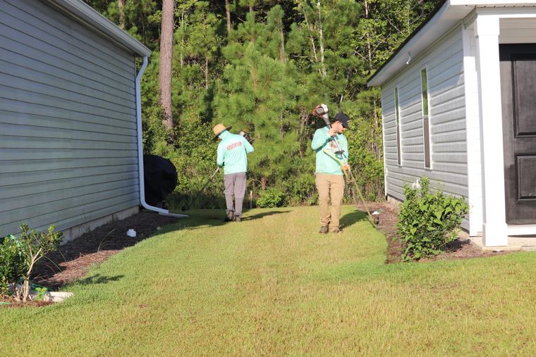 Trimming near the beds