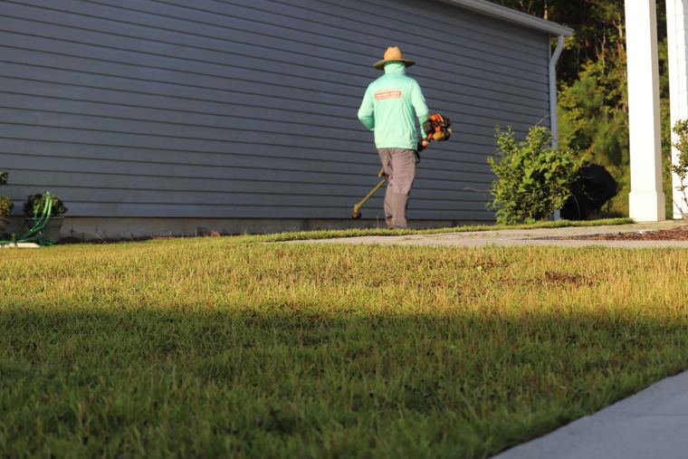 Crisp lawn edge