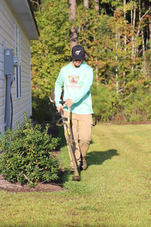 String trimmer at work